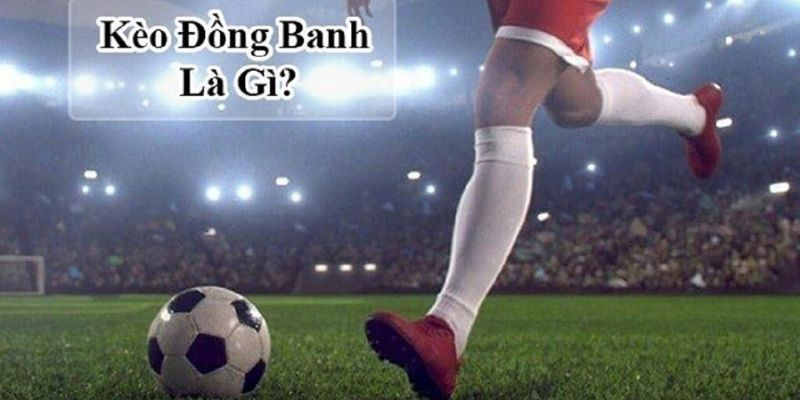 Kèo Đồng Banh Là Gì? Cách Cao Thủ Đặt Kèo Luôn Thắng